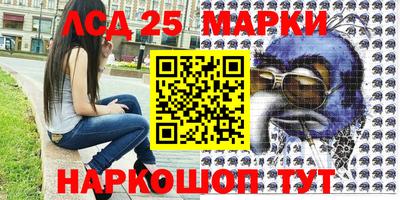 apvp Заволжье