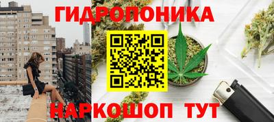 apvp Заволжье
